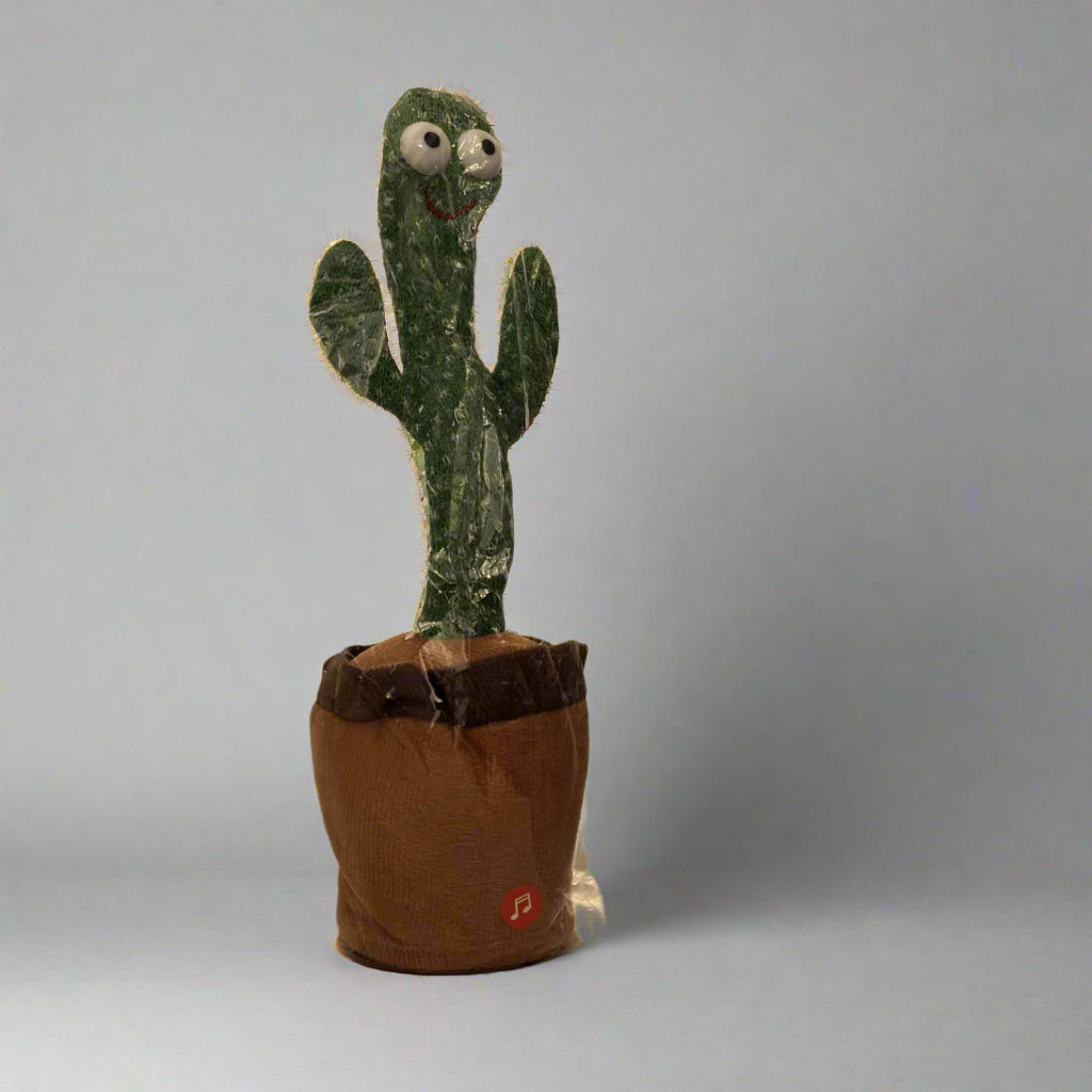Dancing Cactus