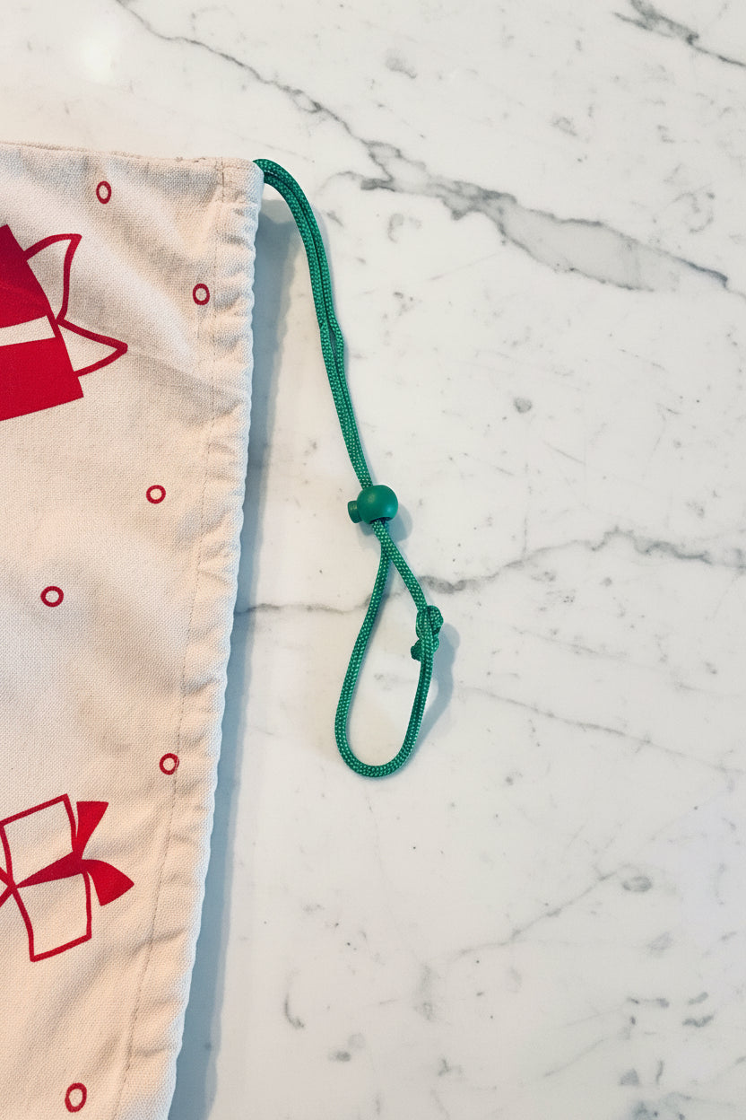 Draw String Bag - Special Delivery from the North Pole - Canvas