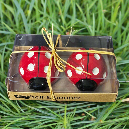 Salt and Pepper Shakers - Lady Bugs