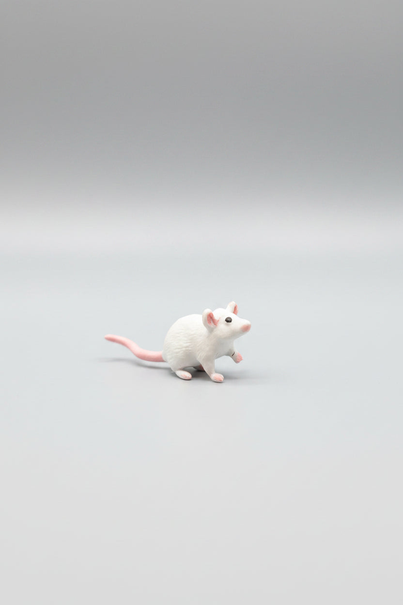 Mini Brands - ZURU - Miniature - Little Nibbles Set