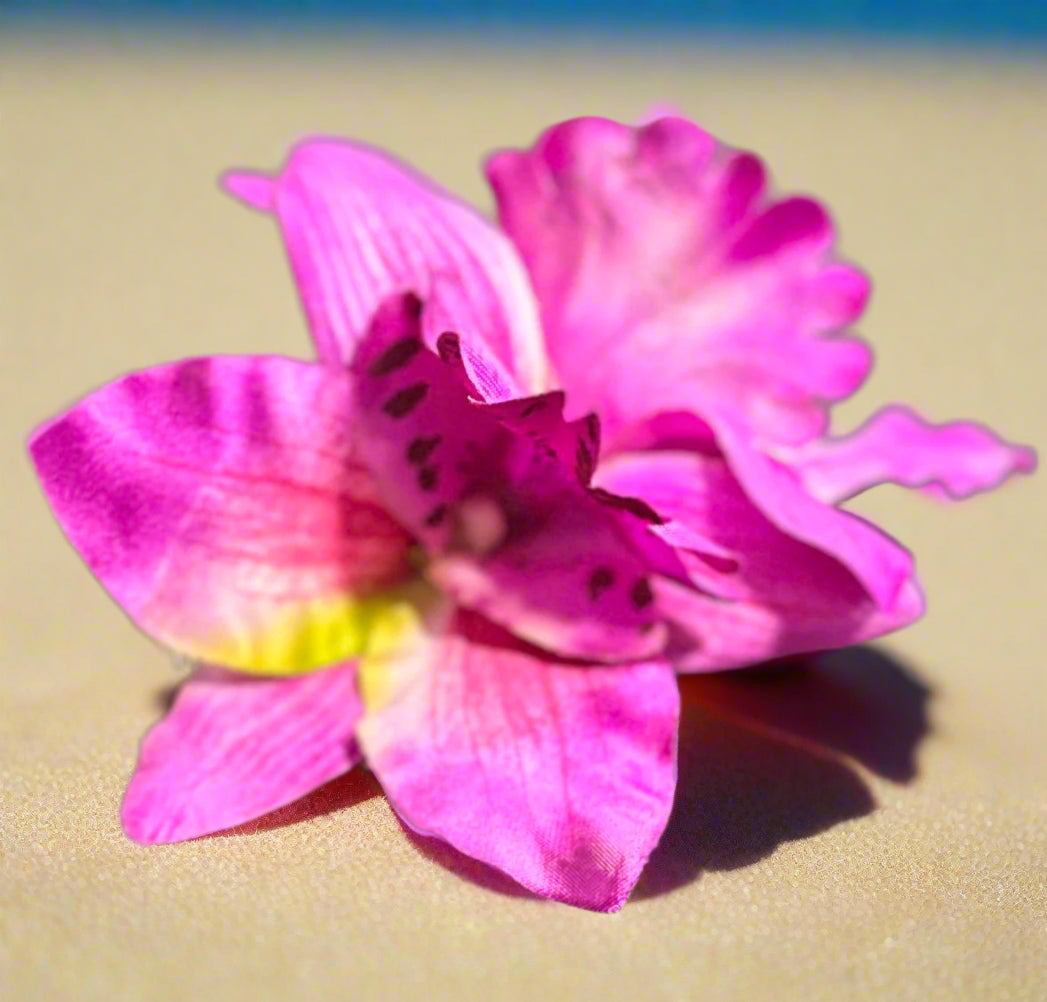 Silk Orchid Hair Clips - Vibrant Fuchsia and Captivating Lime Green