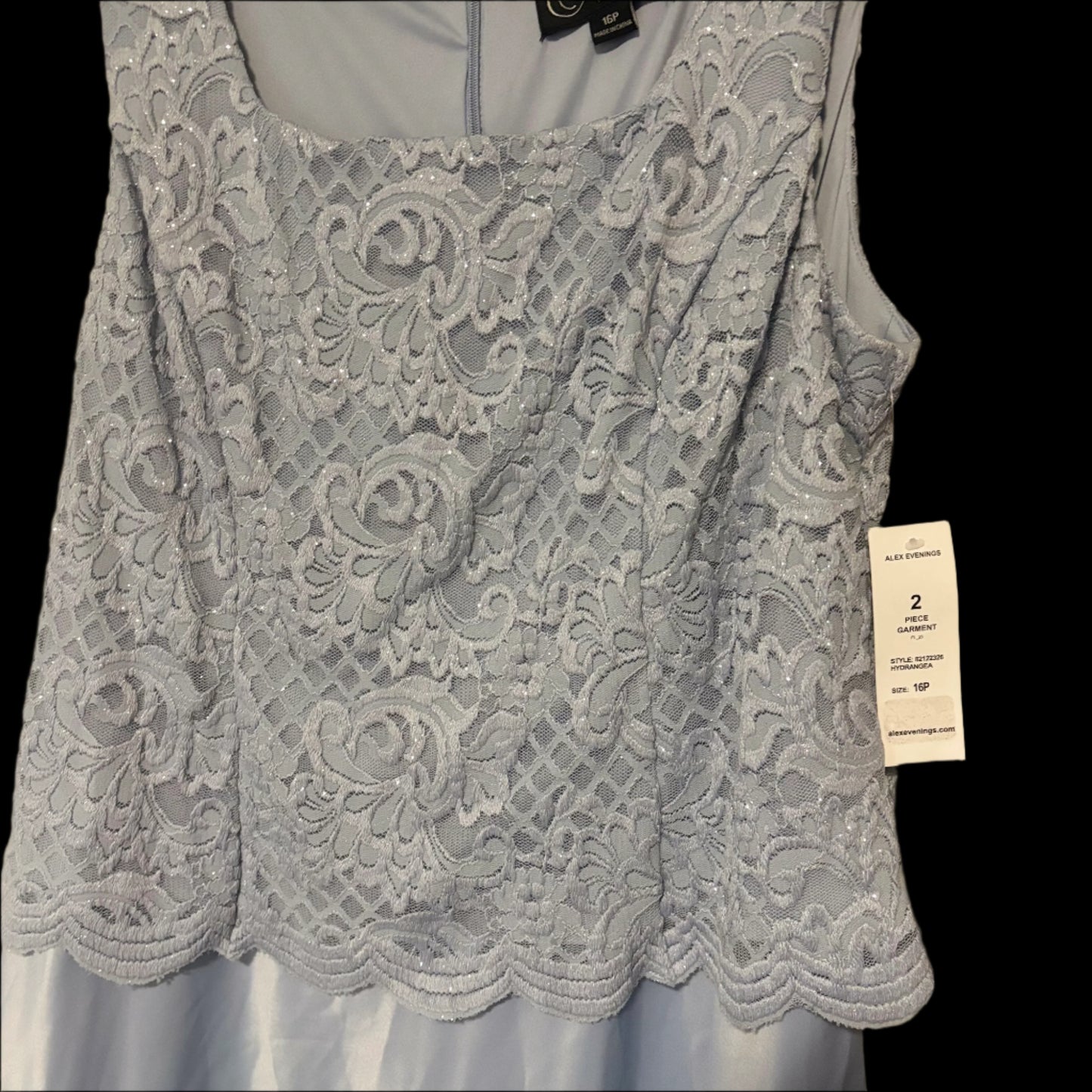 Gown - Alex Evenings - size 16P