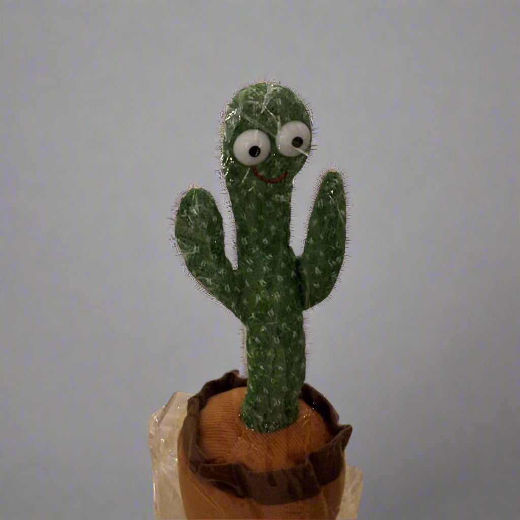 Dancing Cactus