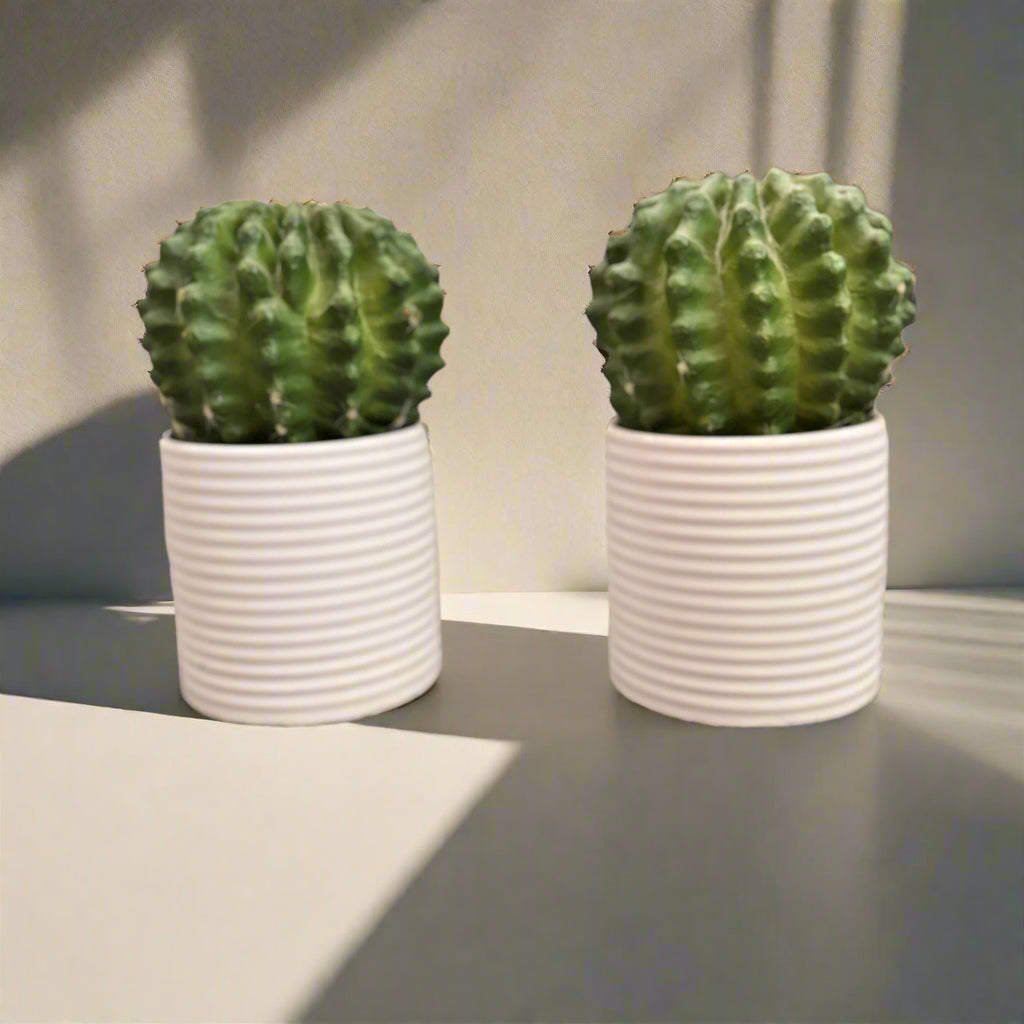 Set of 2 Faux Cactus Plants in White Ribbed Pots