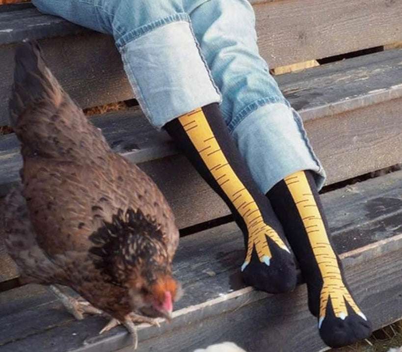 Socks - Chicken Legs