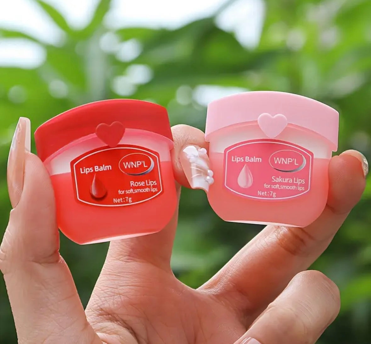 Lip Balm - Set of 6