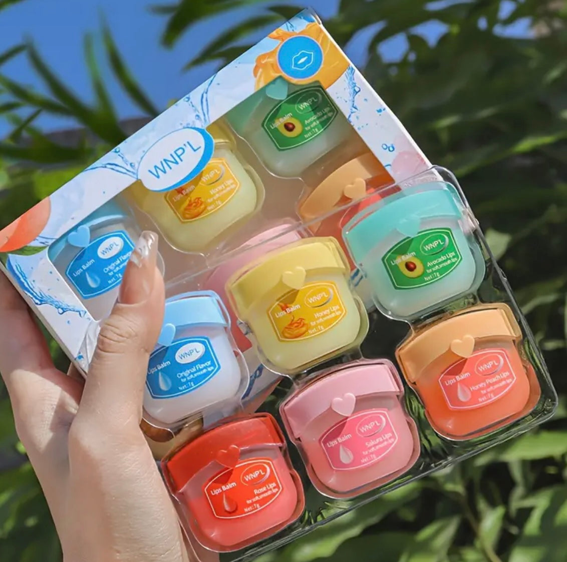 Lip Balm - Set of 6