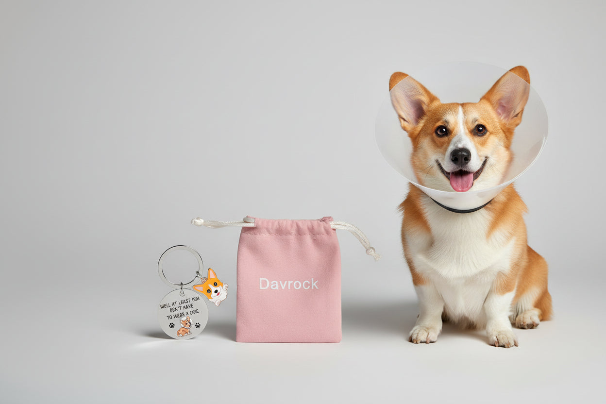 Keychain - Corgi Set - "Well at least you don't have to wear a cone"