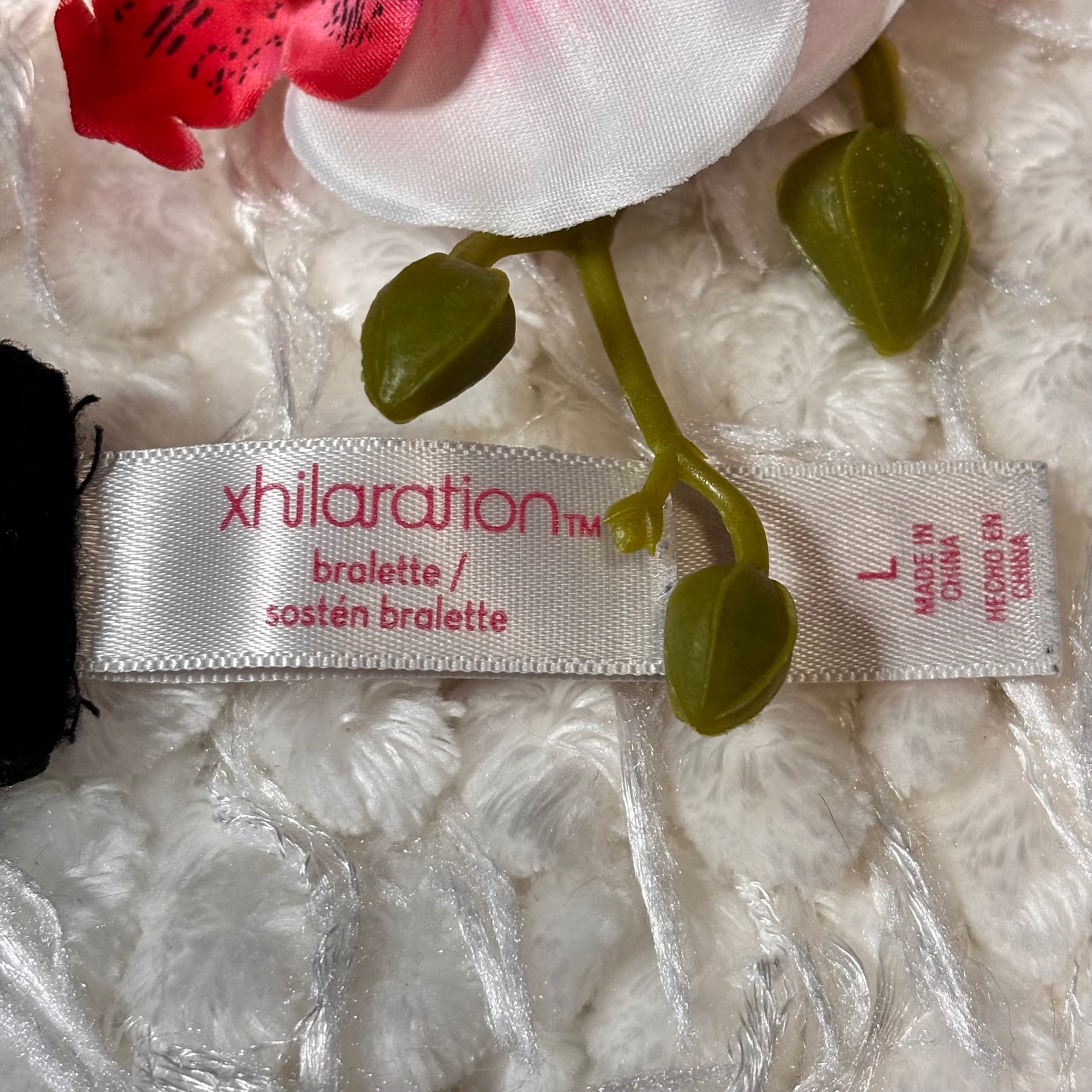 Bra - Bralette - Xhilaration - Black Lace