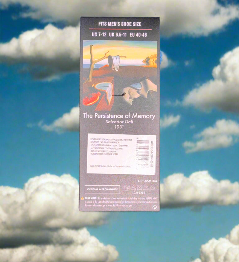 Socks - Artist History - The Persistence of Memory - Salvador Dali